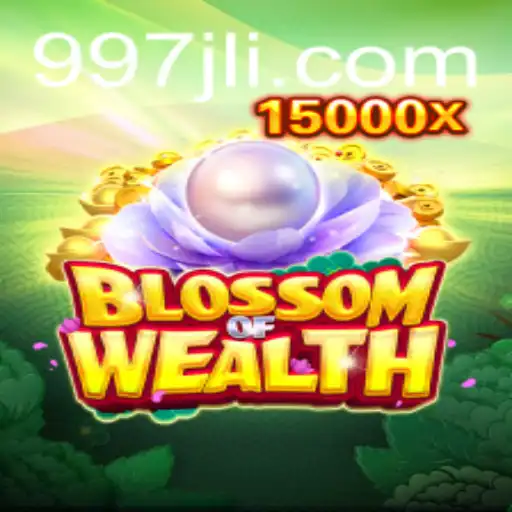 Exploring the Dynamic World of BlossomofWealth and the 997jl App